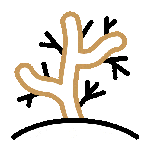 Toes System
