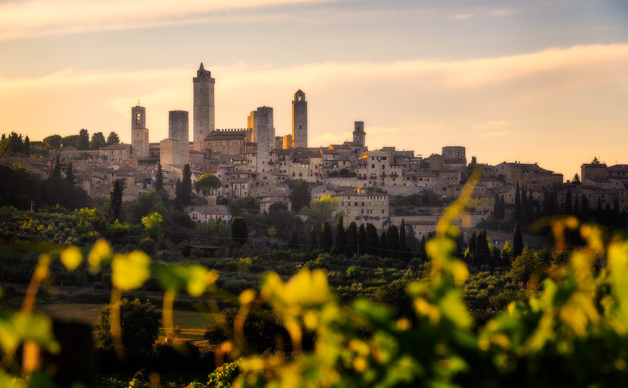 San-Gimignano-Vineyards-Italy-daylight