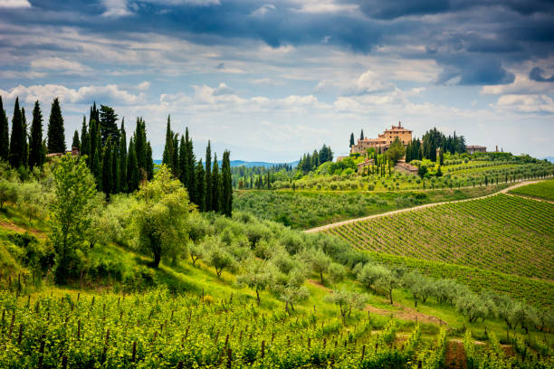 The Chianti Hills (also known as the Chianti Mountains) are a short mountain range (about 20 km) straddling the provinces of Florence, Siena and Arezzo that mark the eastern border of the Chianti region with the Valdarno and the Val di Chiana . The chianti hills are famous for the vineyards where you get a wine known all over the world.