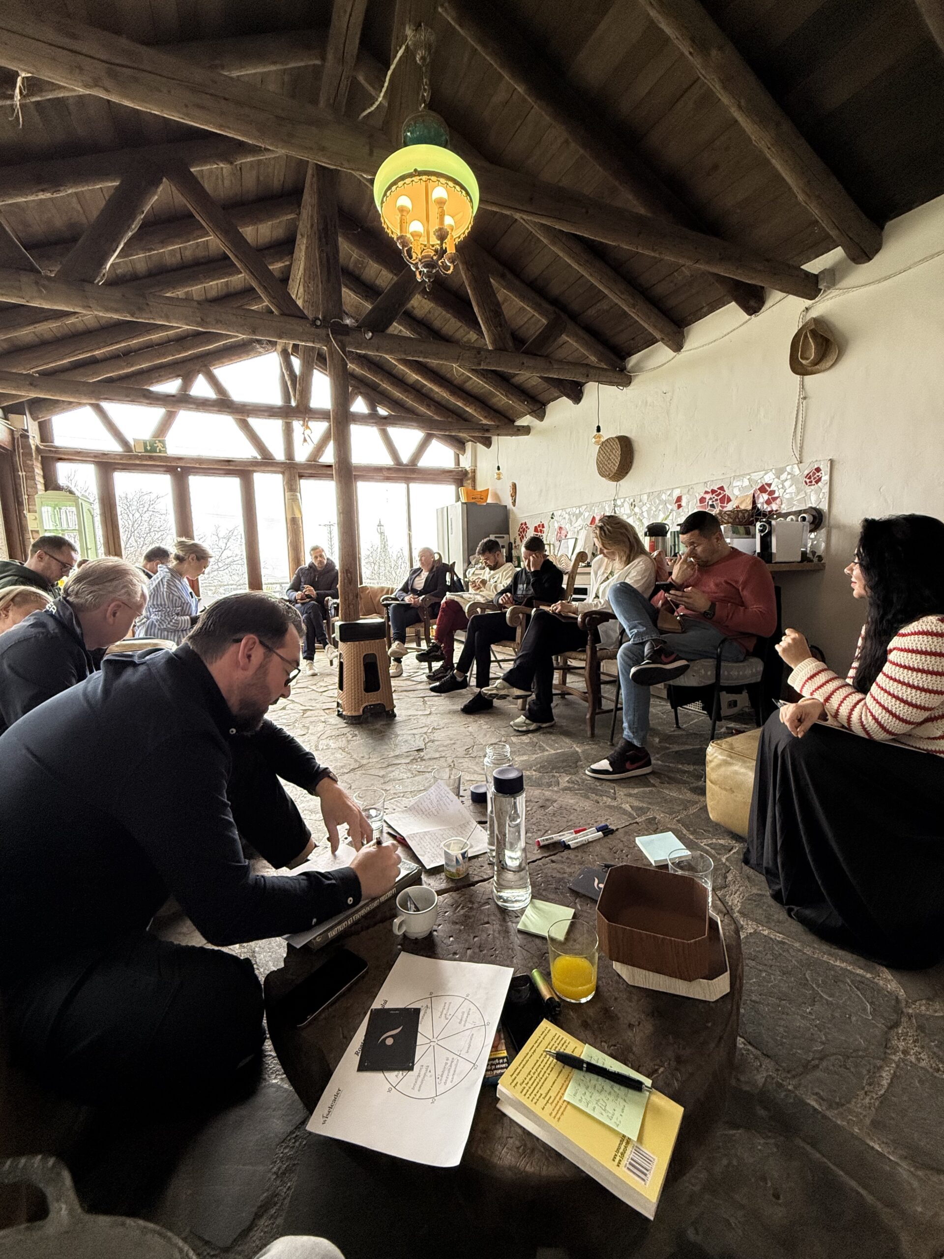Diana Crisan Diana Crișan într-o discuție unu la unu